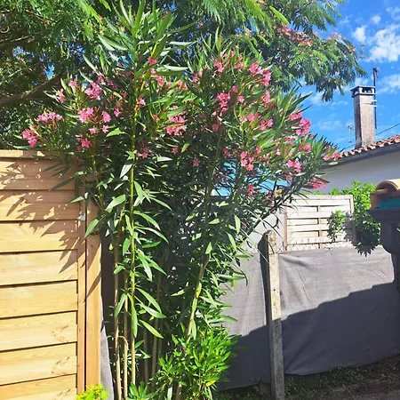 Maison Girondine 4 Personnes