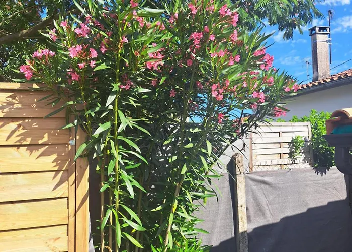 Maison Girondine 4 Personnes